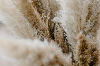 pexels-tara-winstead-6479568
